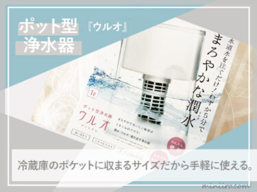冷蔵庫のポケットに納まるポット型浄水器『ウルオ』は塩素もPFAS（フッ素）も除去してくれる【活性炭・天然石使用】